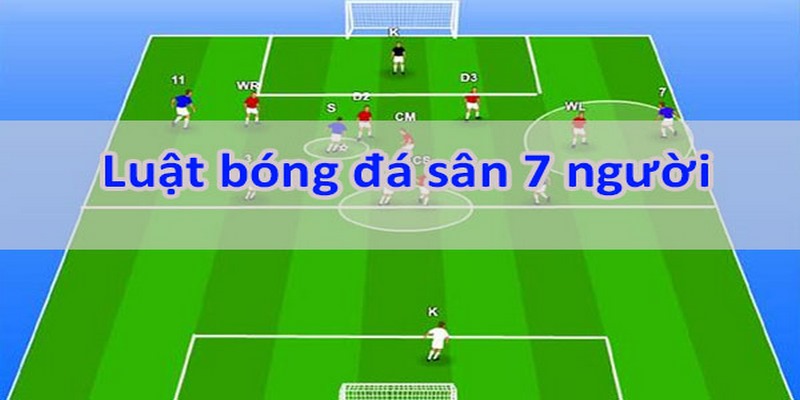 Thông tin cơ bản đối với luật bóng đá 7 người